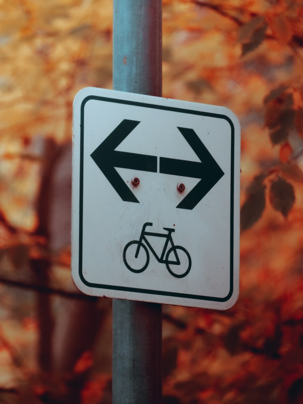 ein Straßenschild mit einem Pfeil, der auf ein Fahrrad zeigt