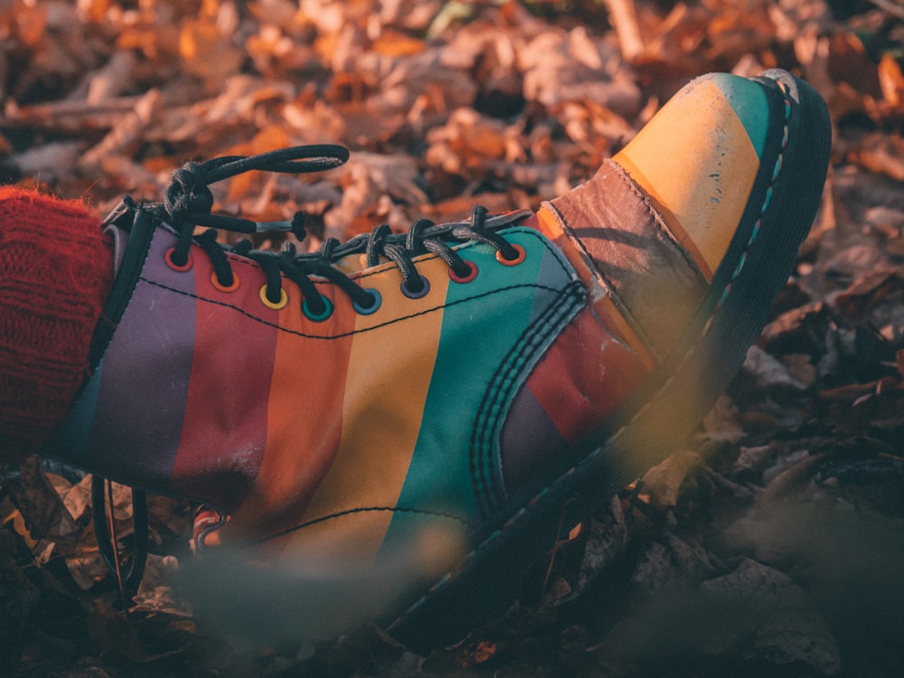 a pair of colorful shoes sitting on top of a pile of leaves