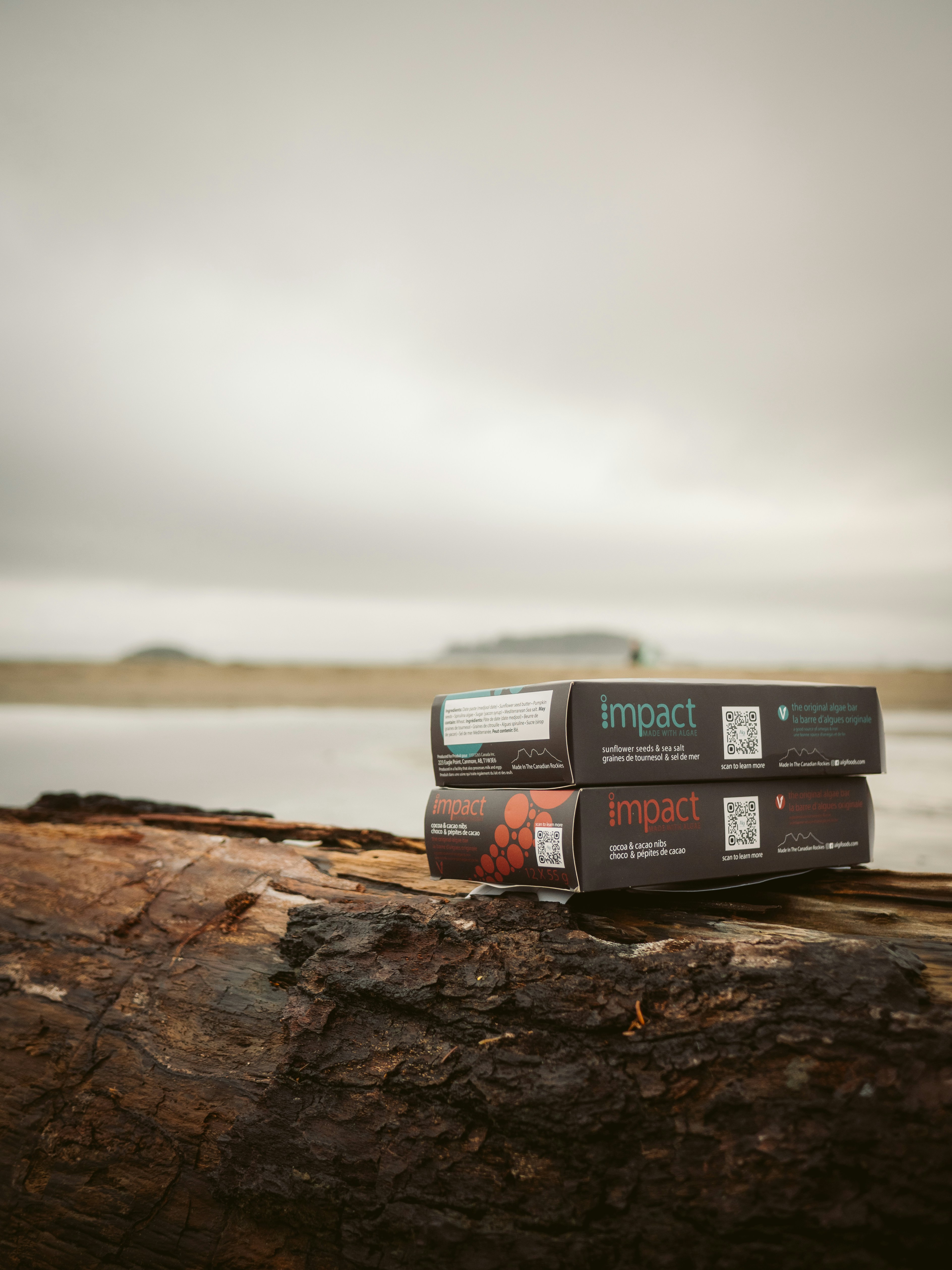 two boxes sitting on top of a log near a body of water