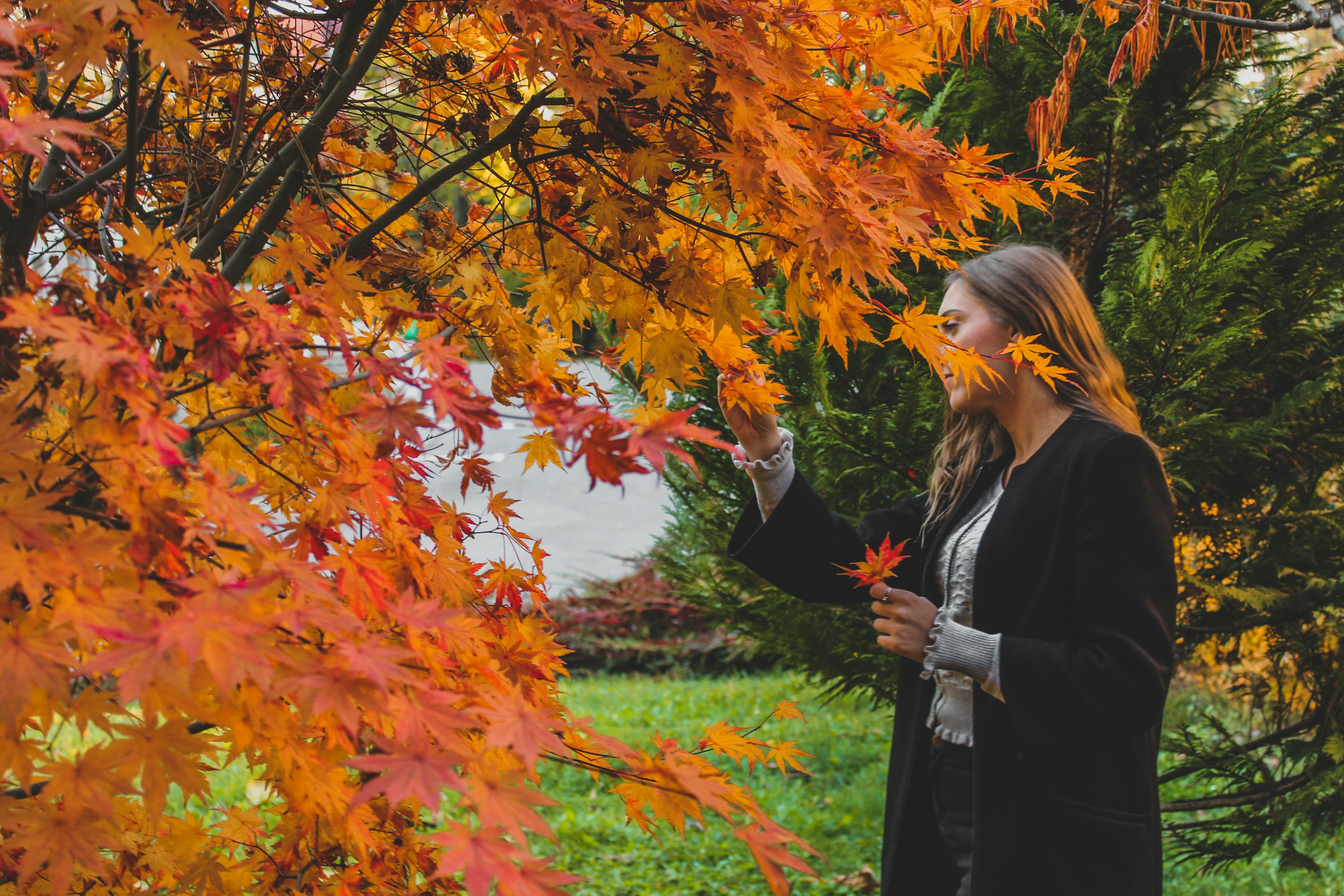 Photo by czapp_arpad