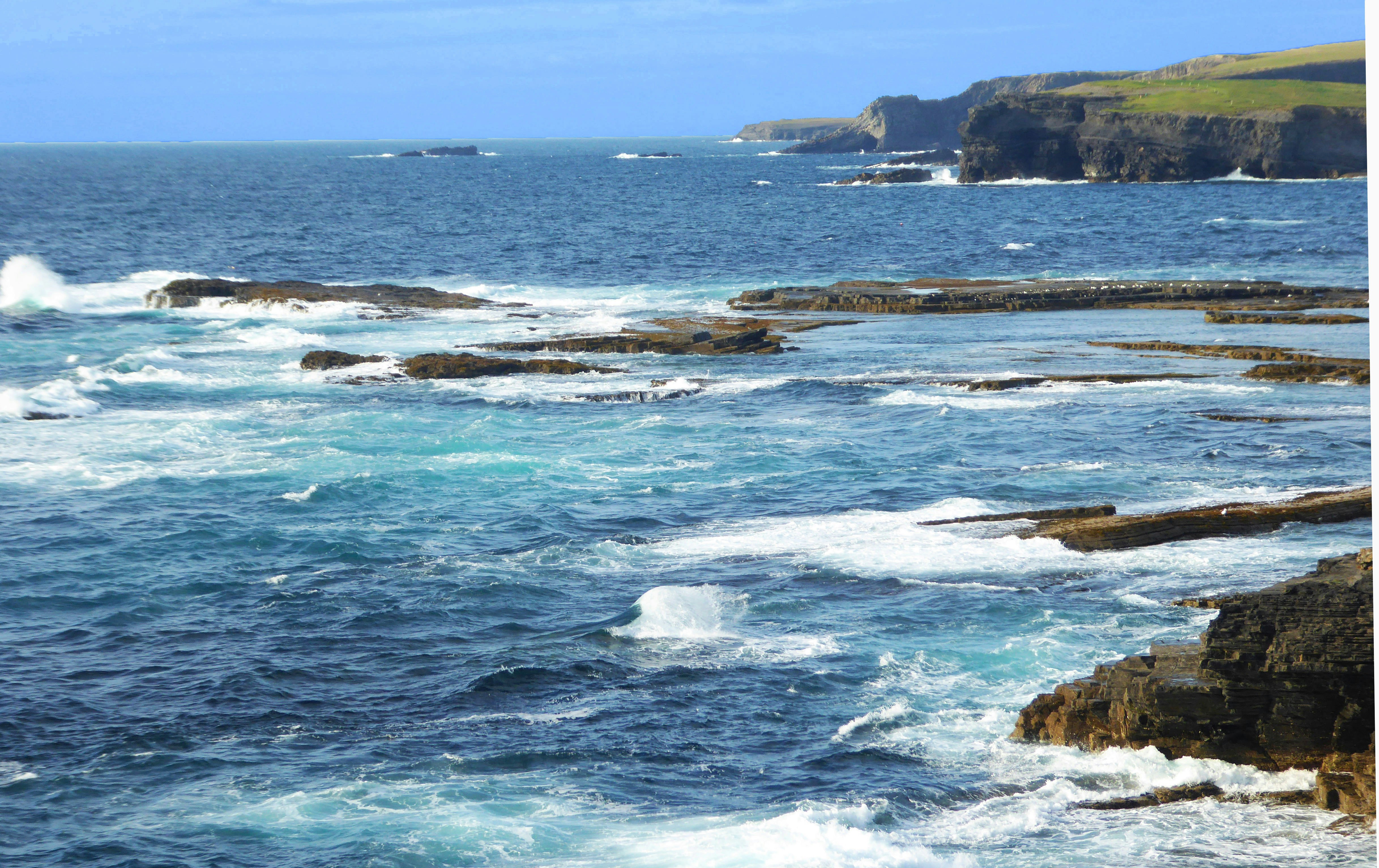 Photo by colincmurphy