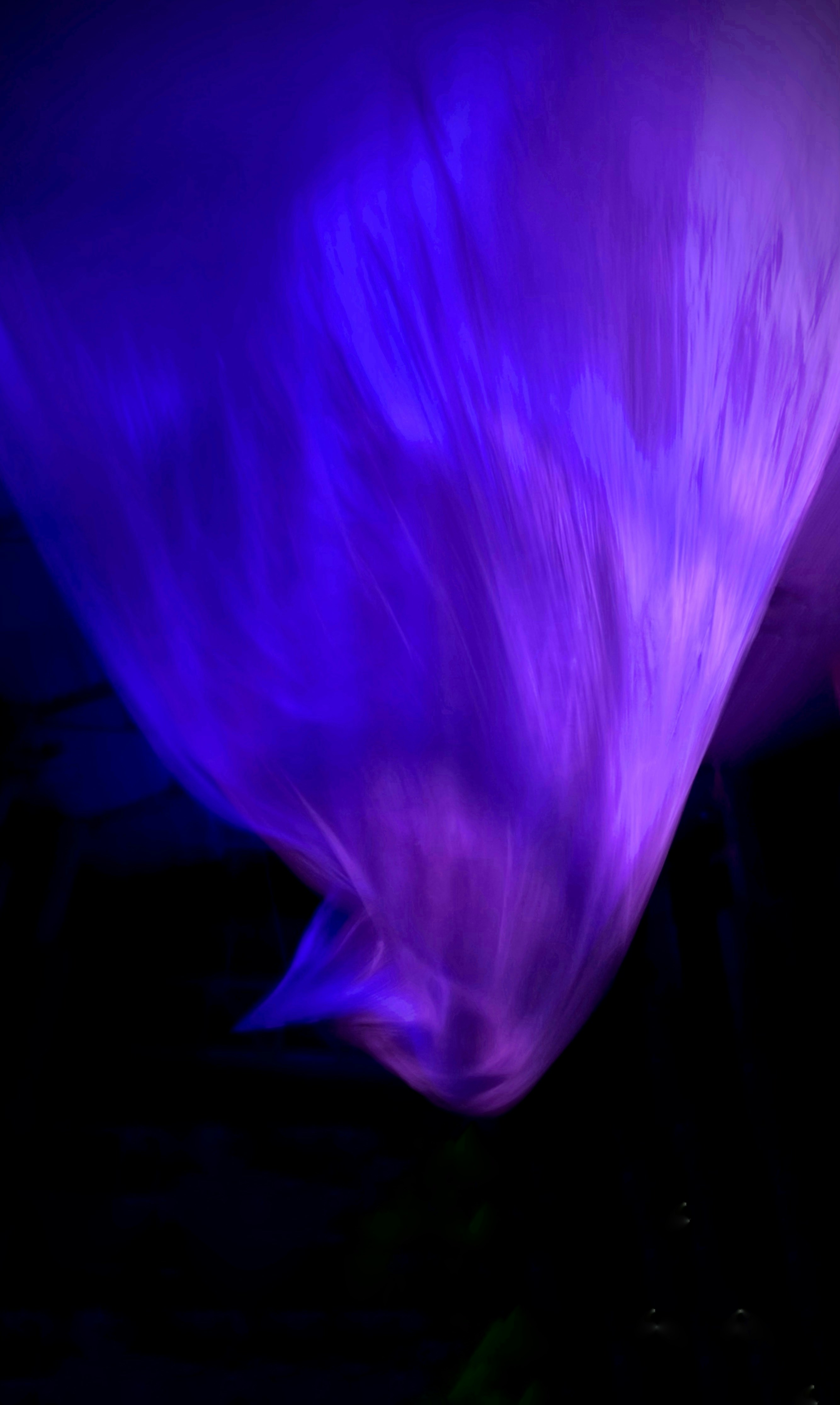 Photo by mau_cardoso