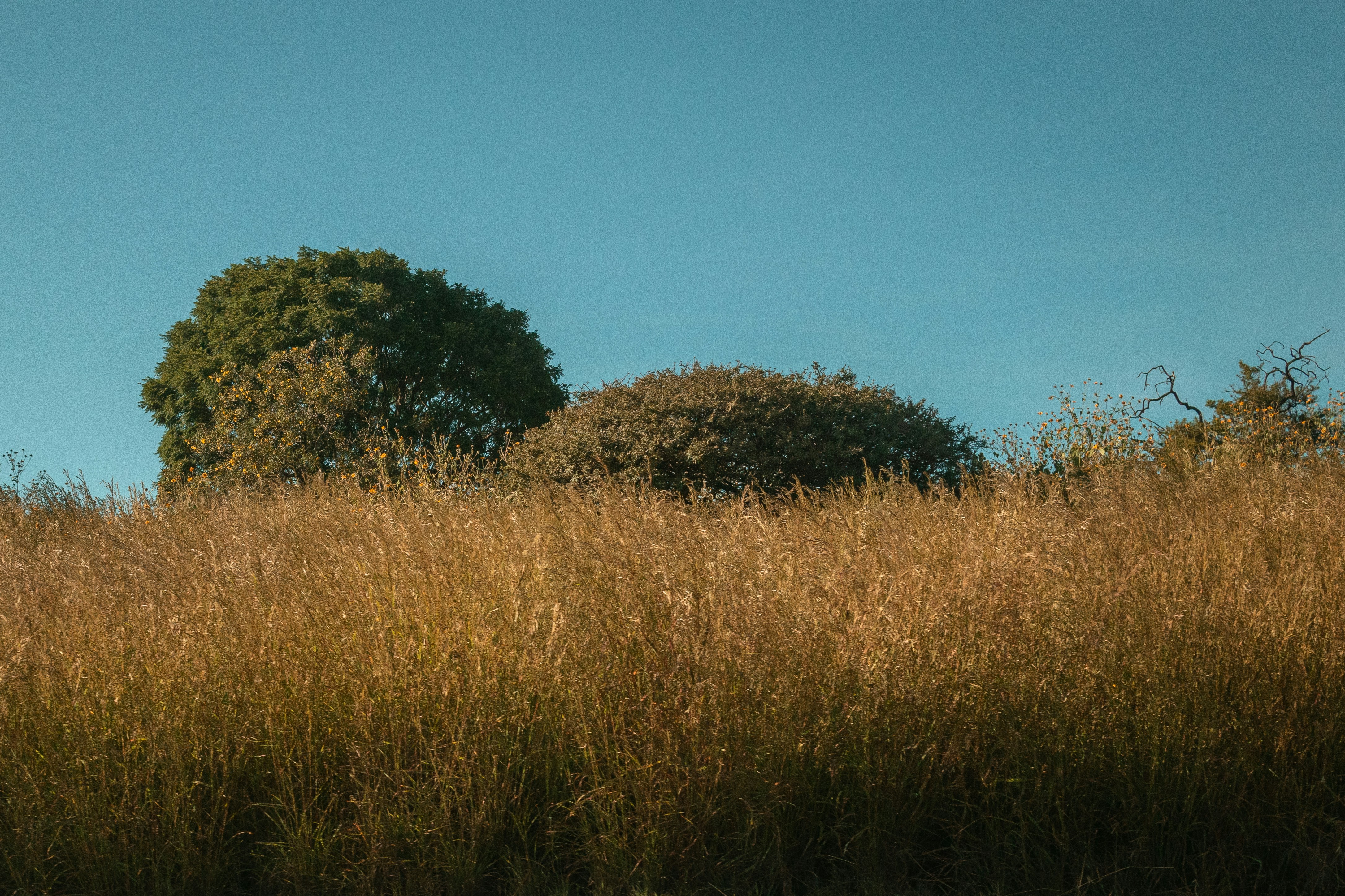 Photo by alex_quezada