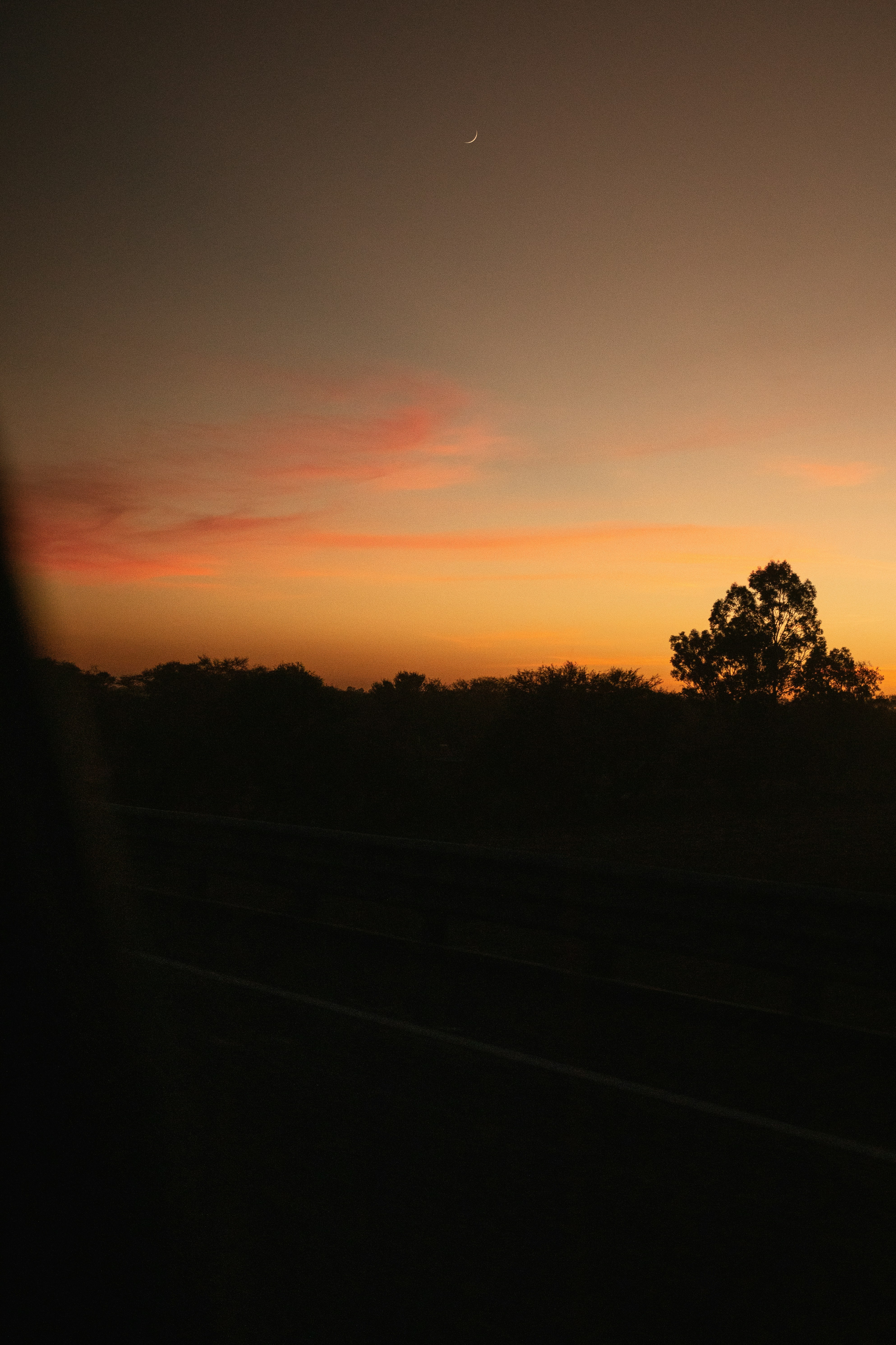Photo by alex_quezada