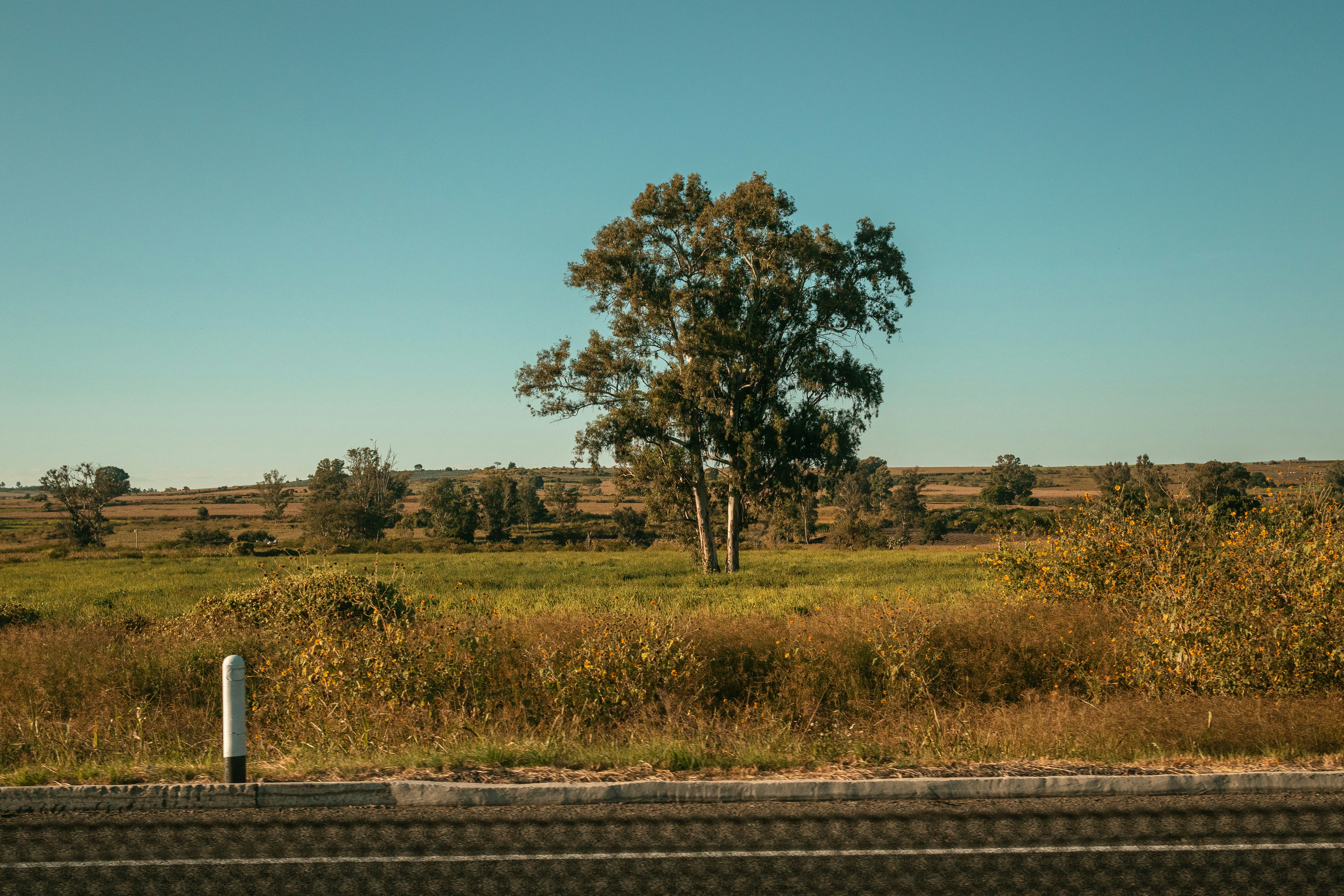 Photo by alex_quezada