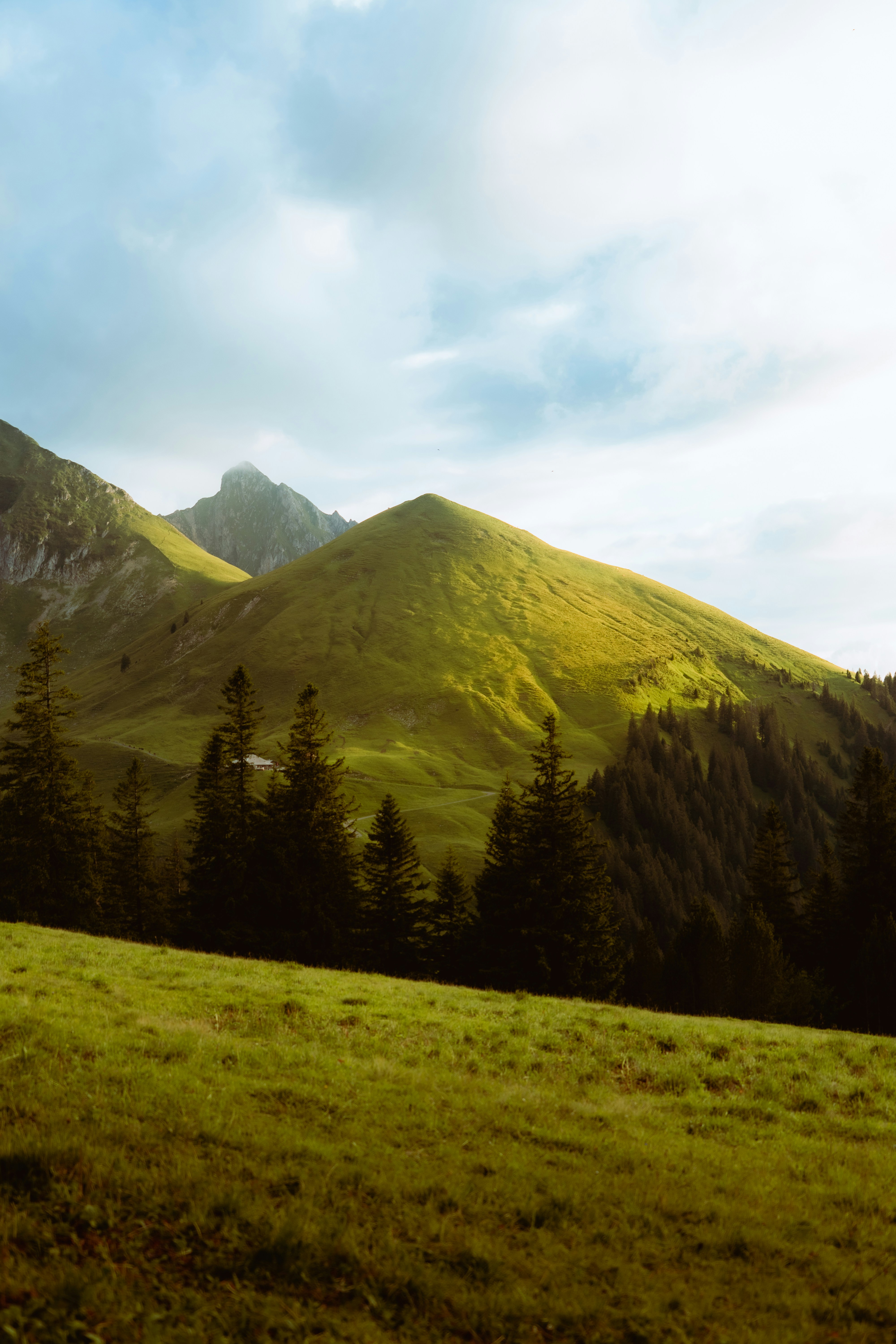 Photo by benaja_photos