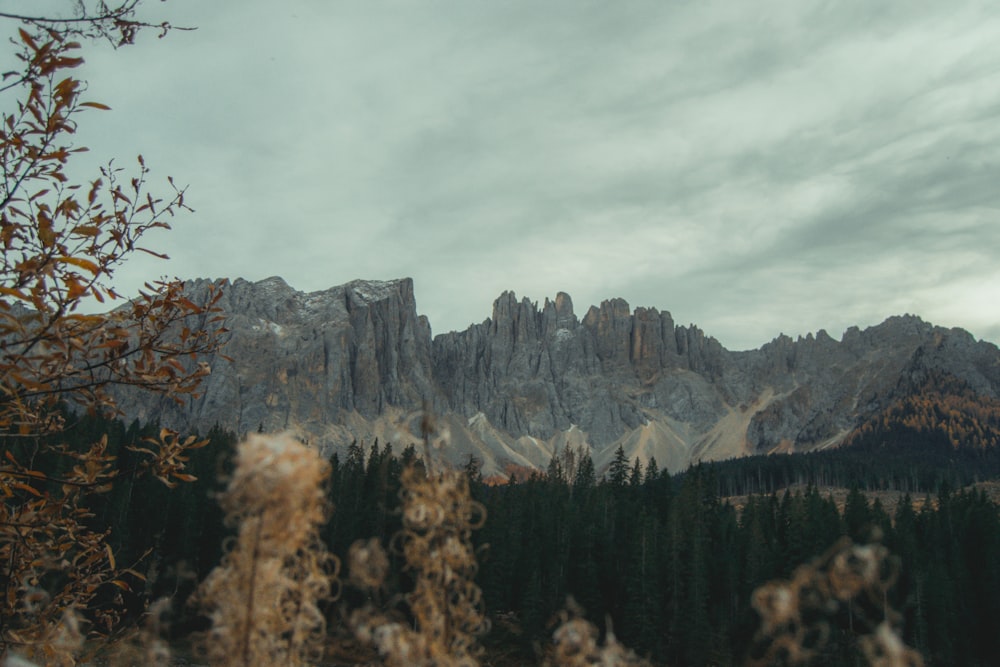 a view of a mountain range with trees in the foreground