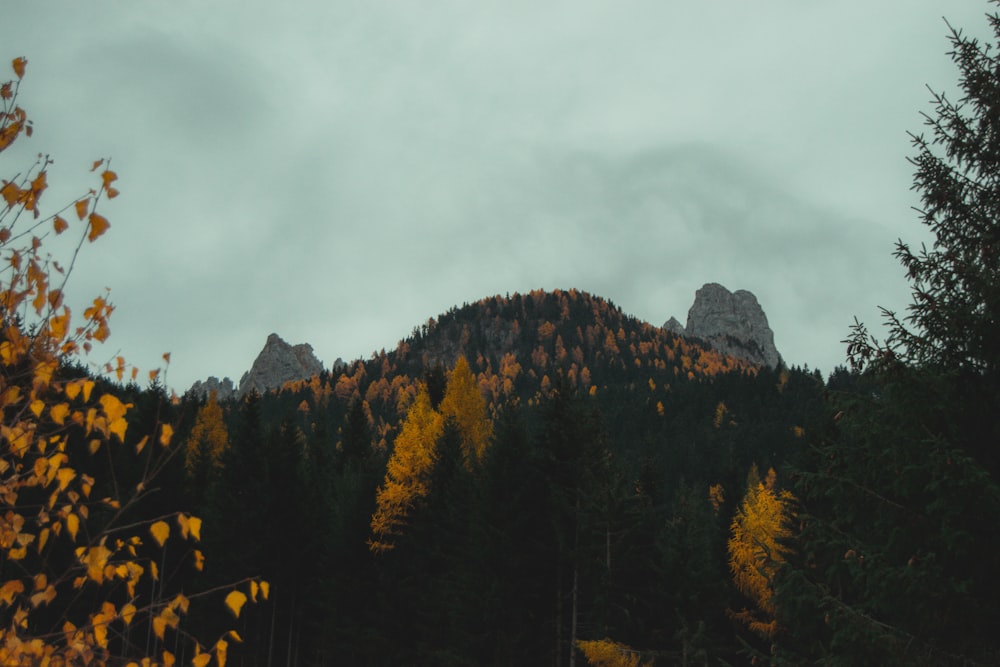 a mountain with trees in the foreground and clouds in the background