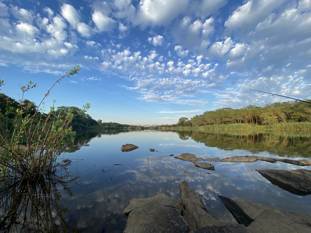 a body of water surrounded by rocks and grass