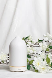 Minimalist diffuser emitting gentle mist in a serene, sunlit room with plants.