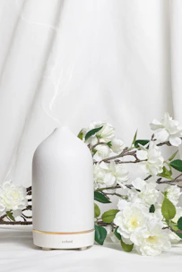 Close-up of a diffuser releasing a gentle mist into a softly lit room with natural tones.