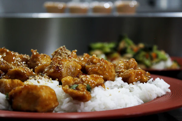 Teriyaki Chicken Bowl