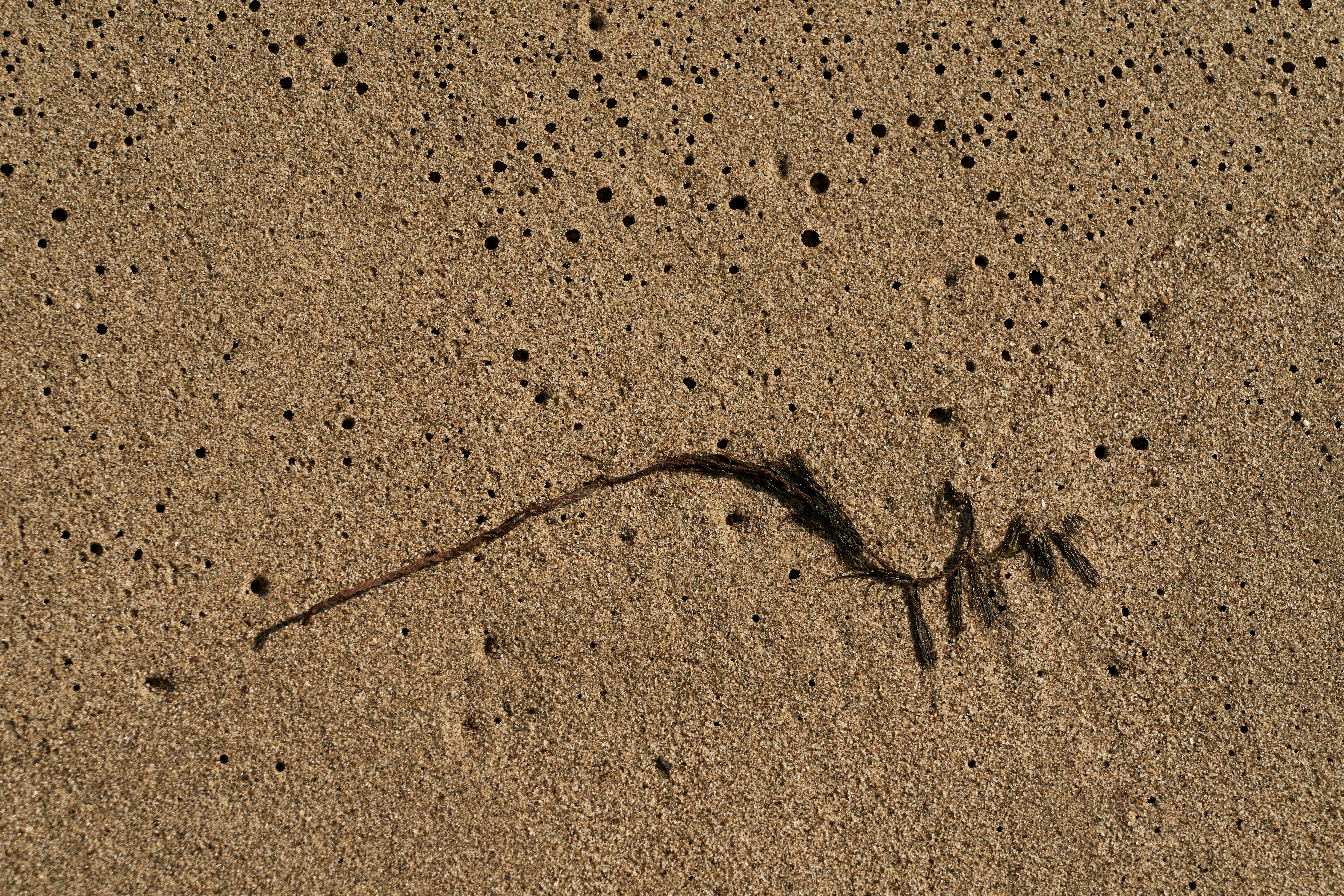 Photo by wolfgang_hasselmann