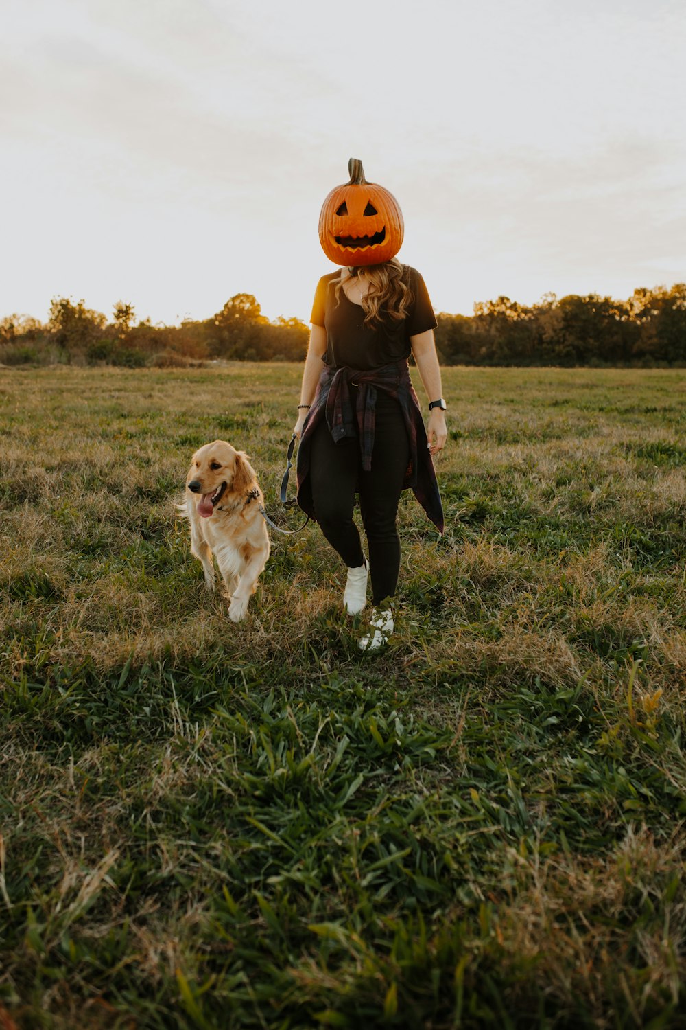 Eine Frau, die mit einem Kürbis auf dem Kopf auf einem Feld mit einem Hund spazieren geht