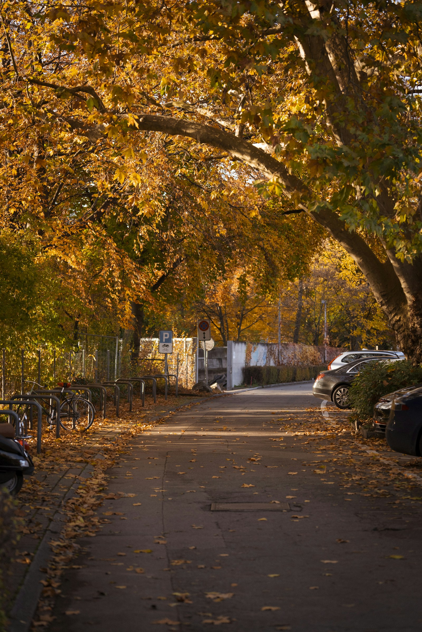 🍂 Fall 2025 Real Estate Market Update: What’s Really Happening in Waterloo Region?