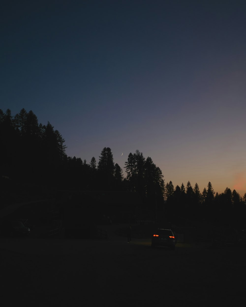 a car driving through a forest at night