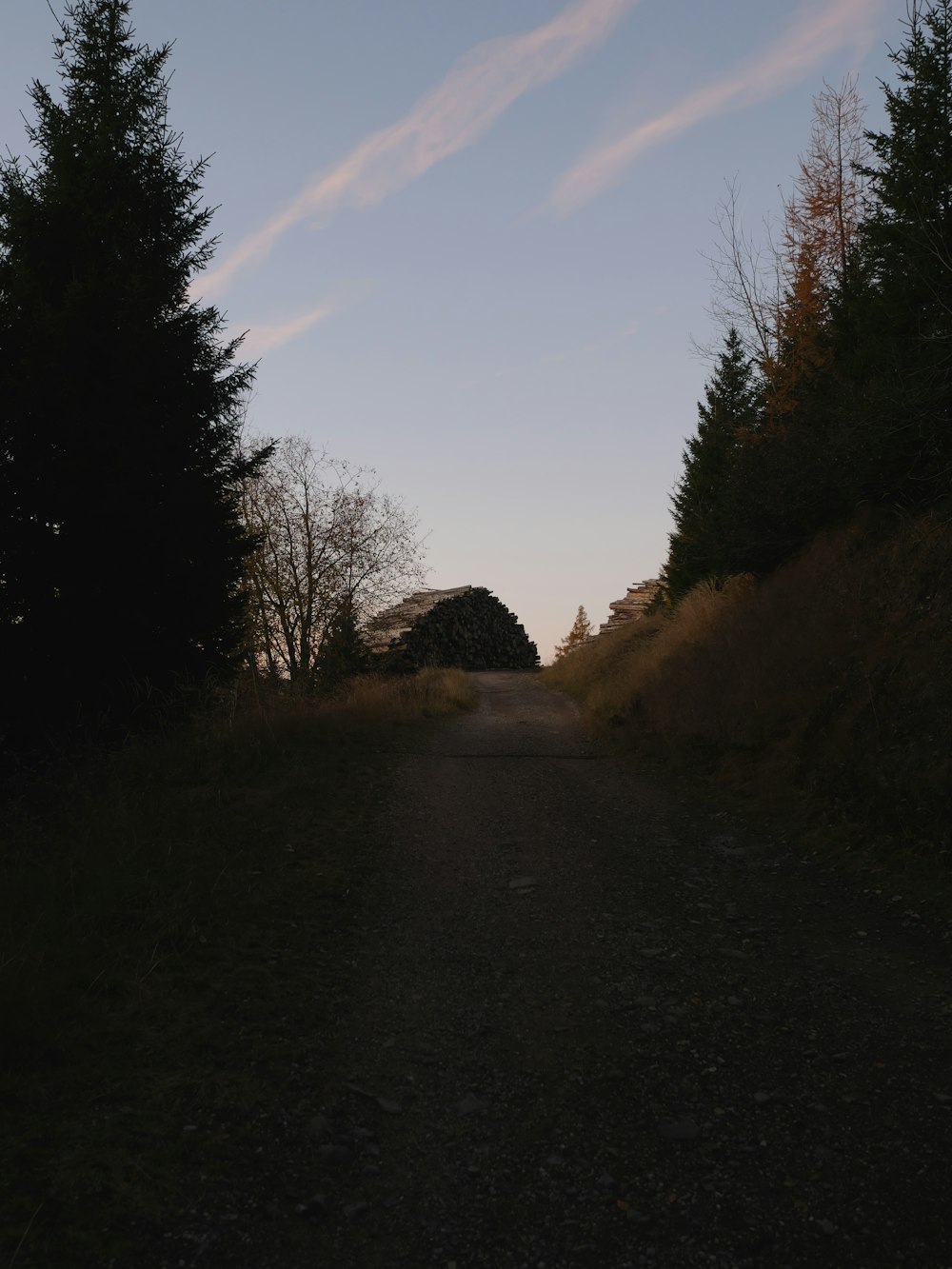 a dirt road surrounded by trees and grass