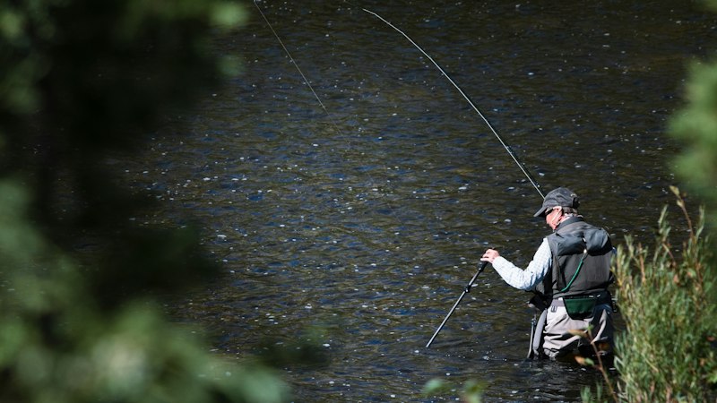 Fly fisherman wading a Montana river