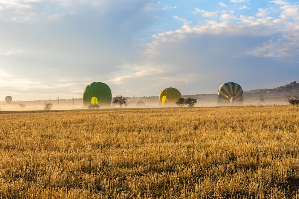 three hot air balloons in the middle of a field