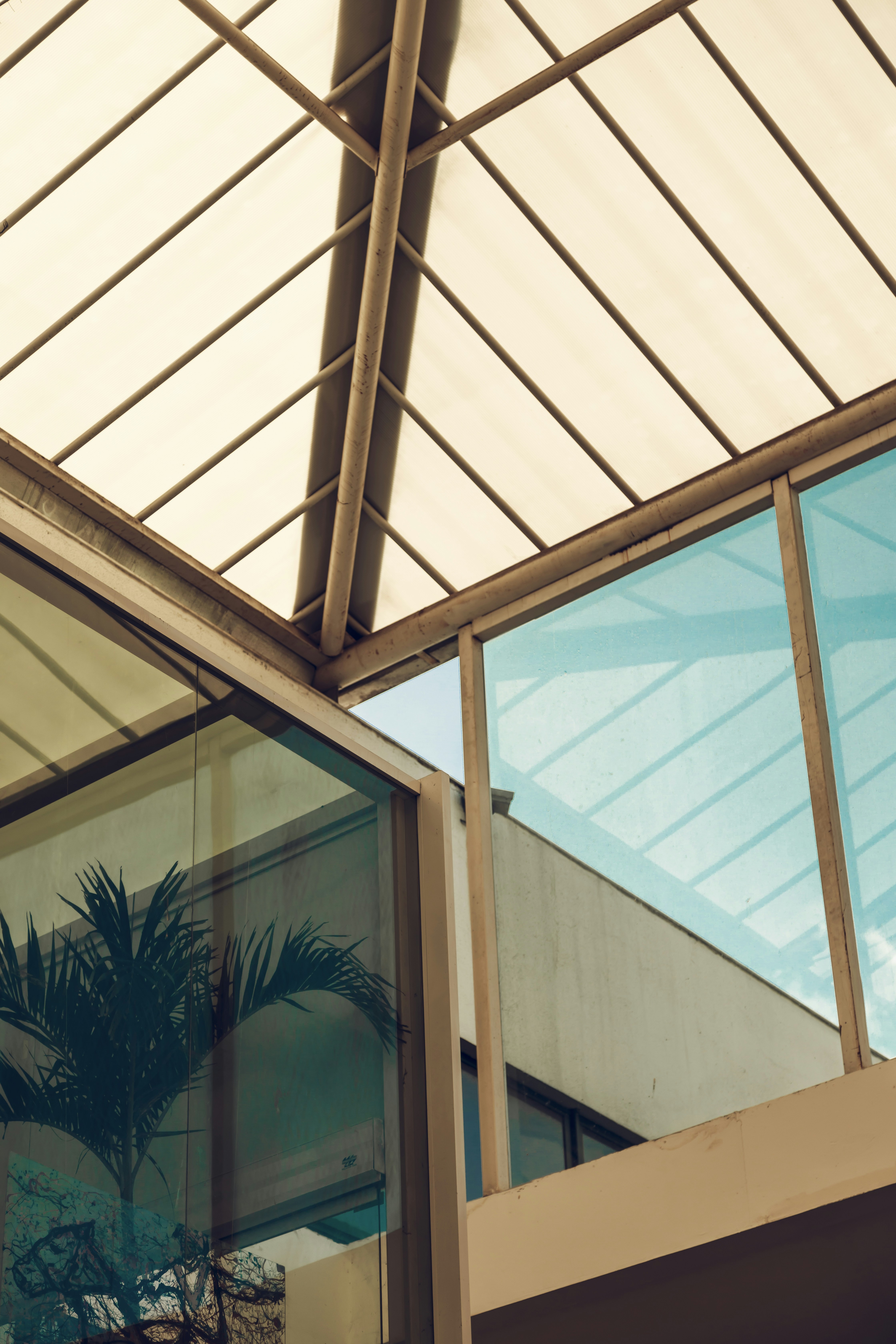 Photo by ferreiramarcos___