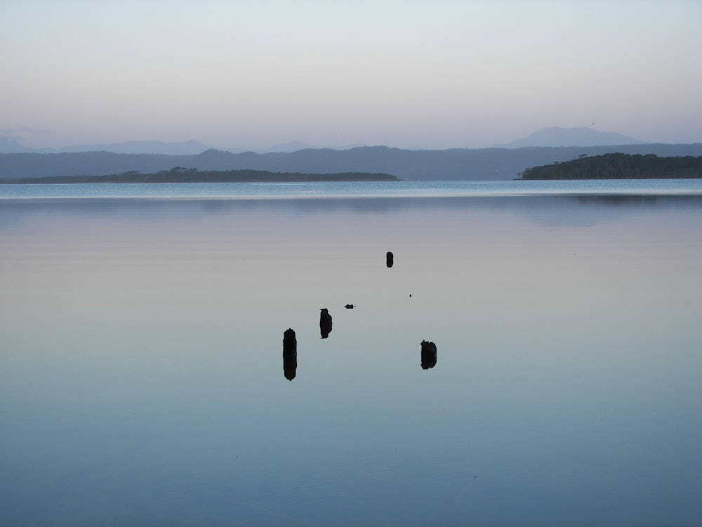 a body of water that has some rocks in it