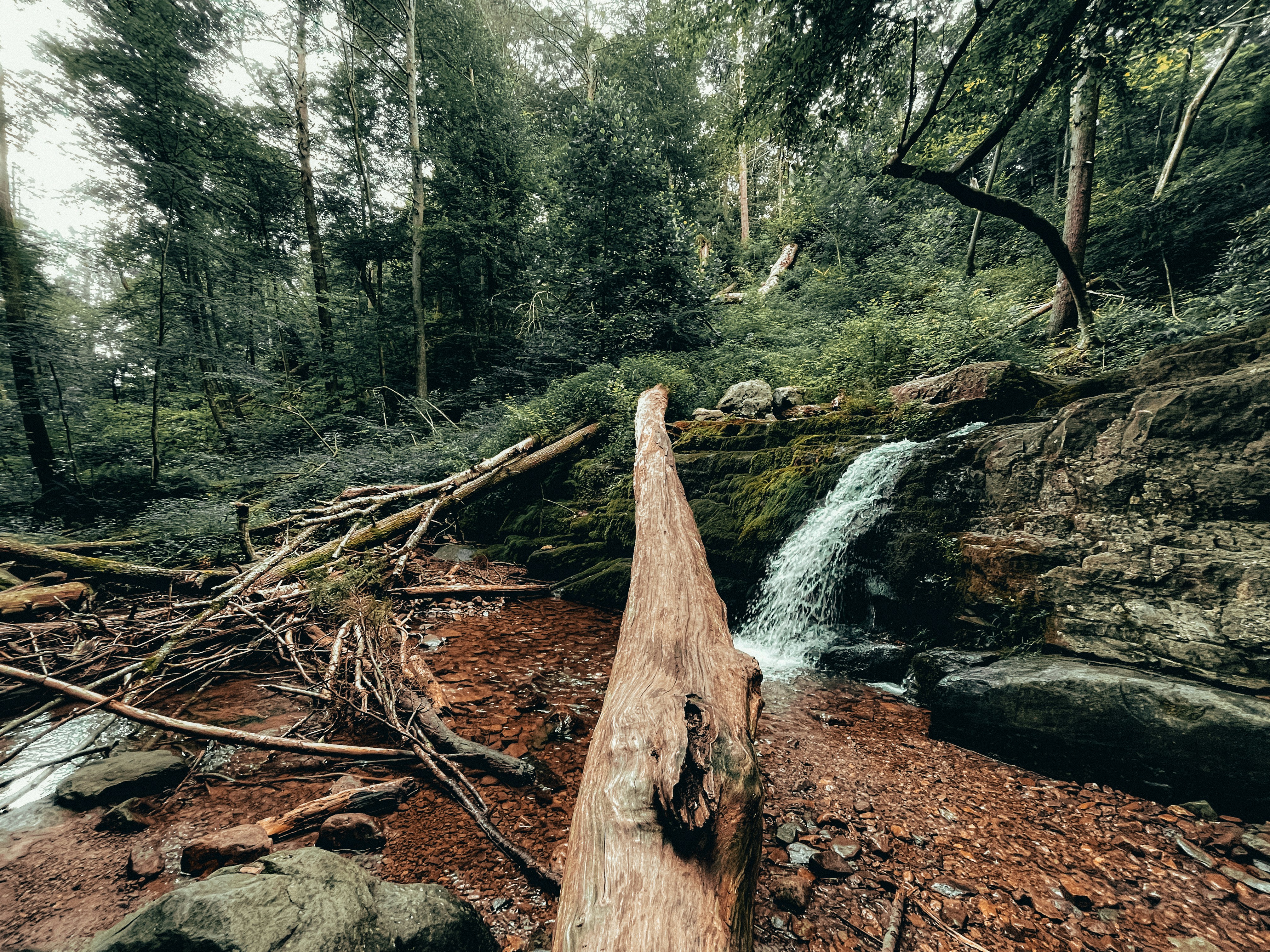 Photo by pkprasad1996