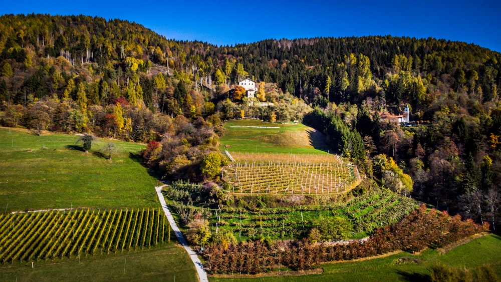 an aerial view of a farm surrounded by trees