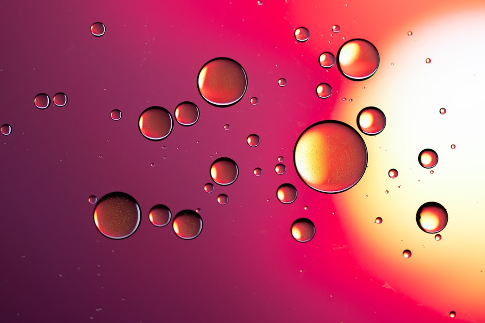 a close up of water droplets on a purple and pink background