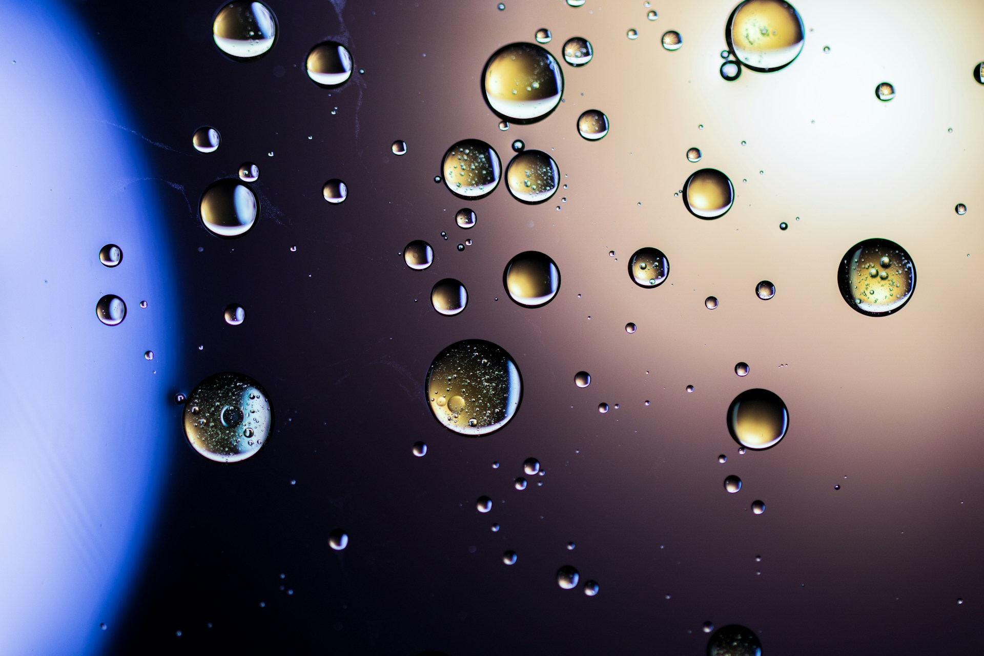 drops of water on a window pane