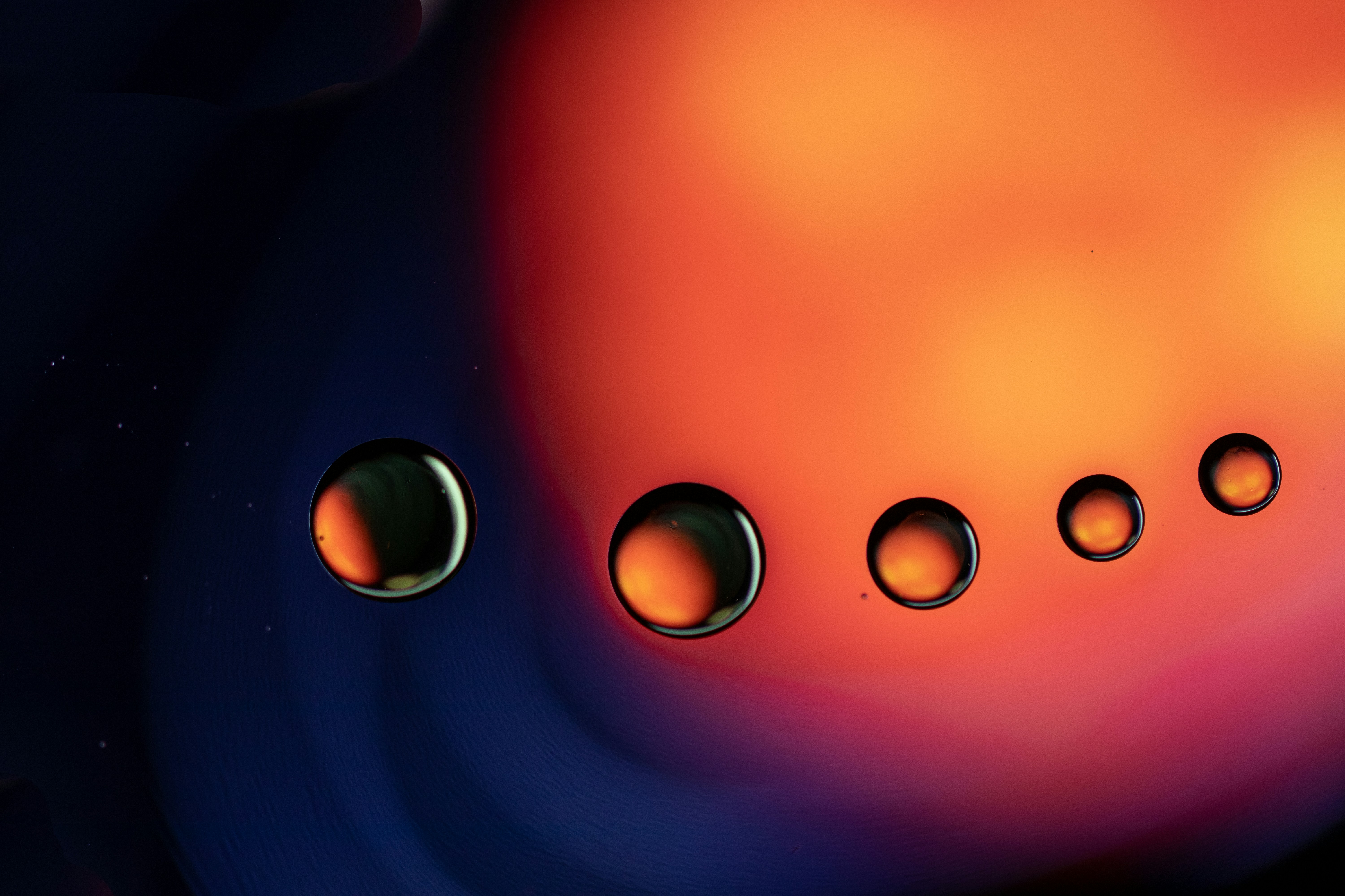 Photo by octopus_photo