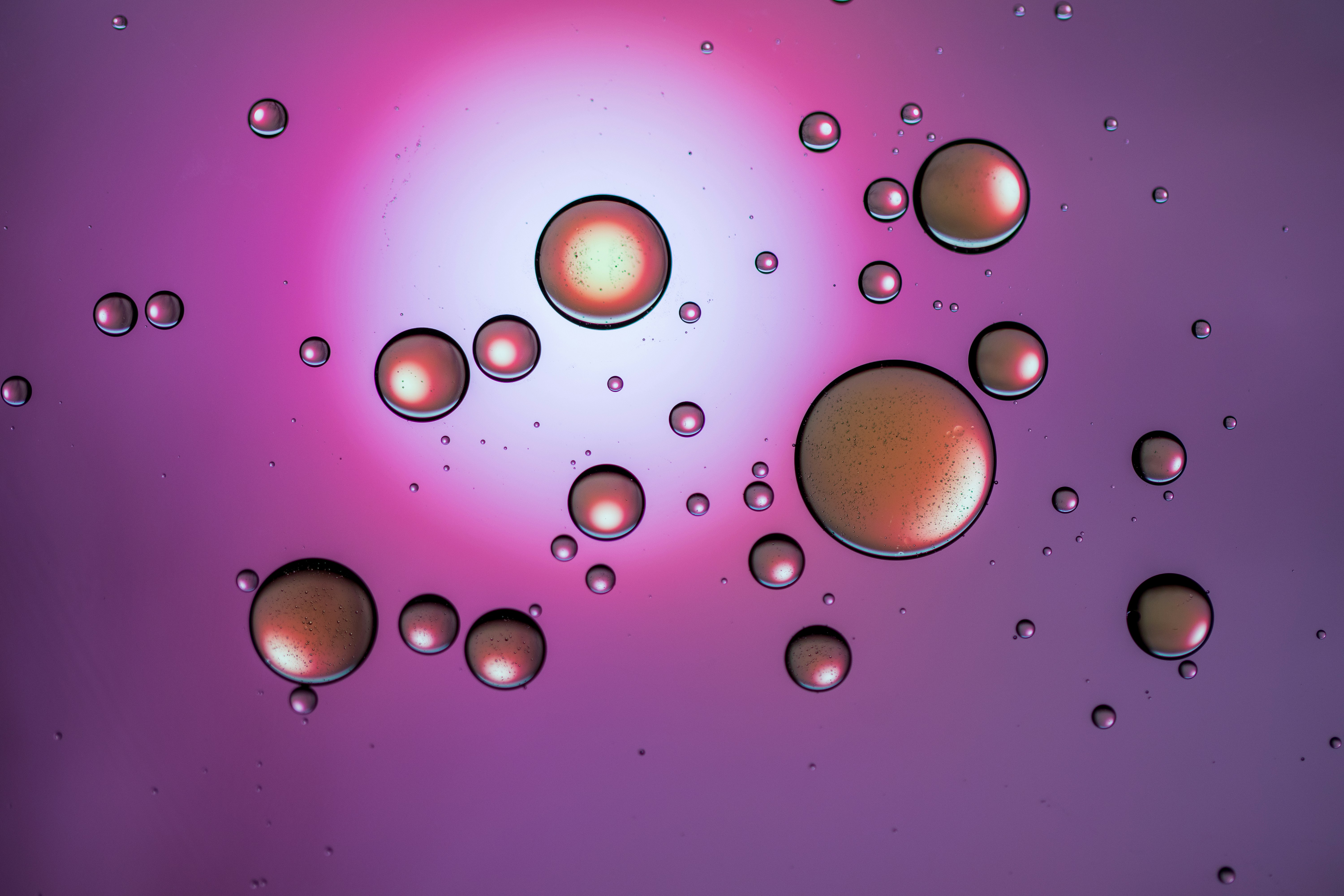 Photo by octopus_photo