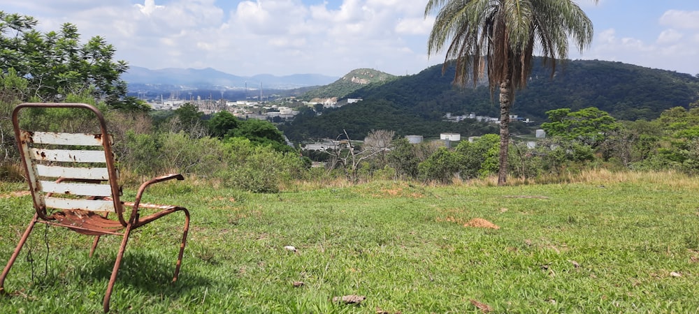 a chair sitting on top of a lush green field