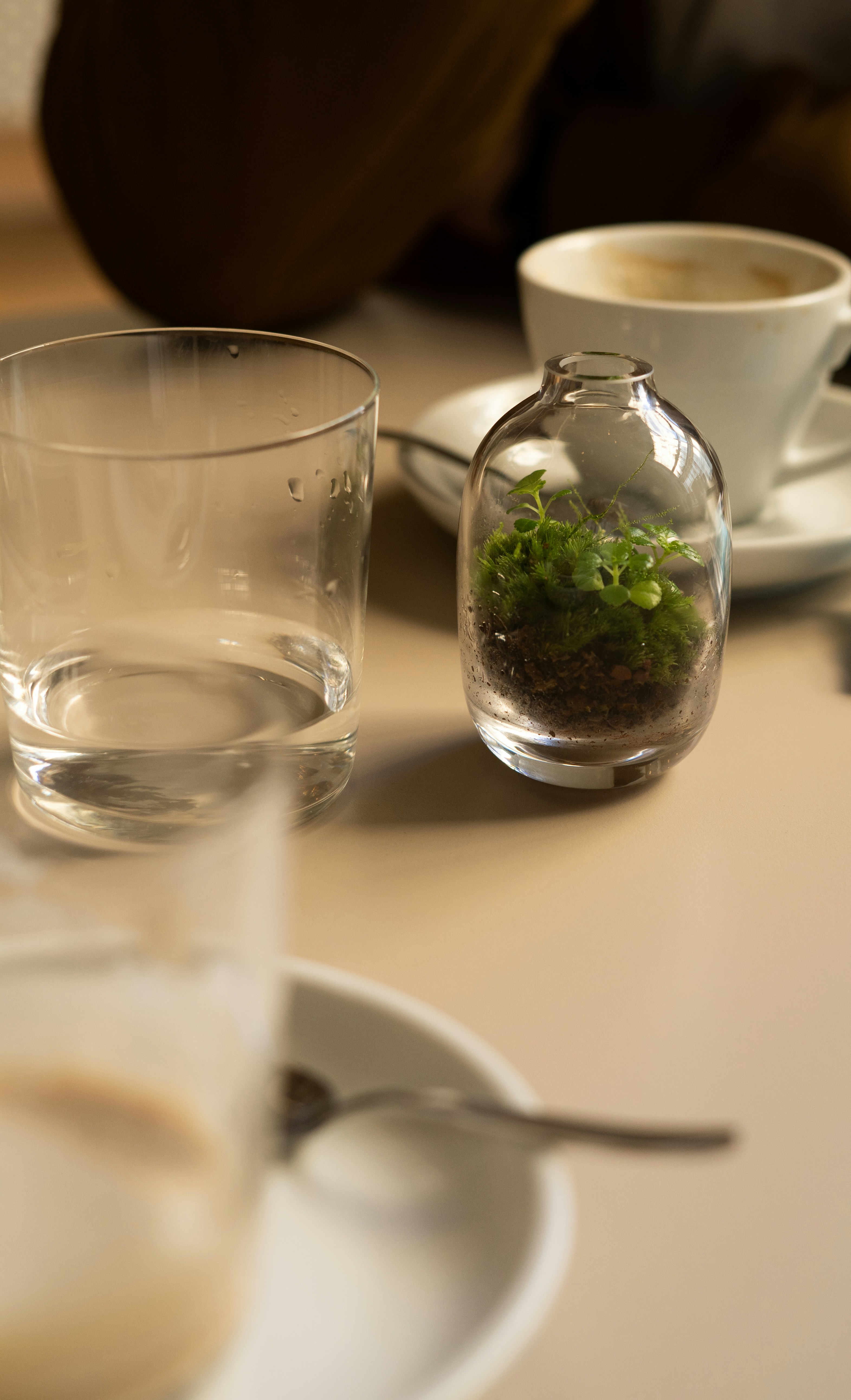 Photo by jelezniac_bianca