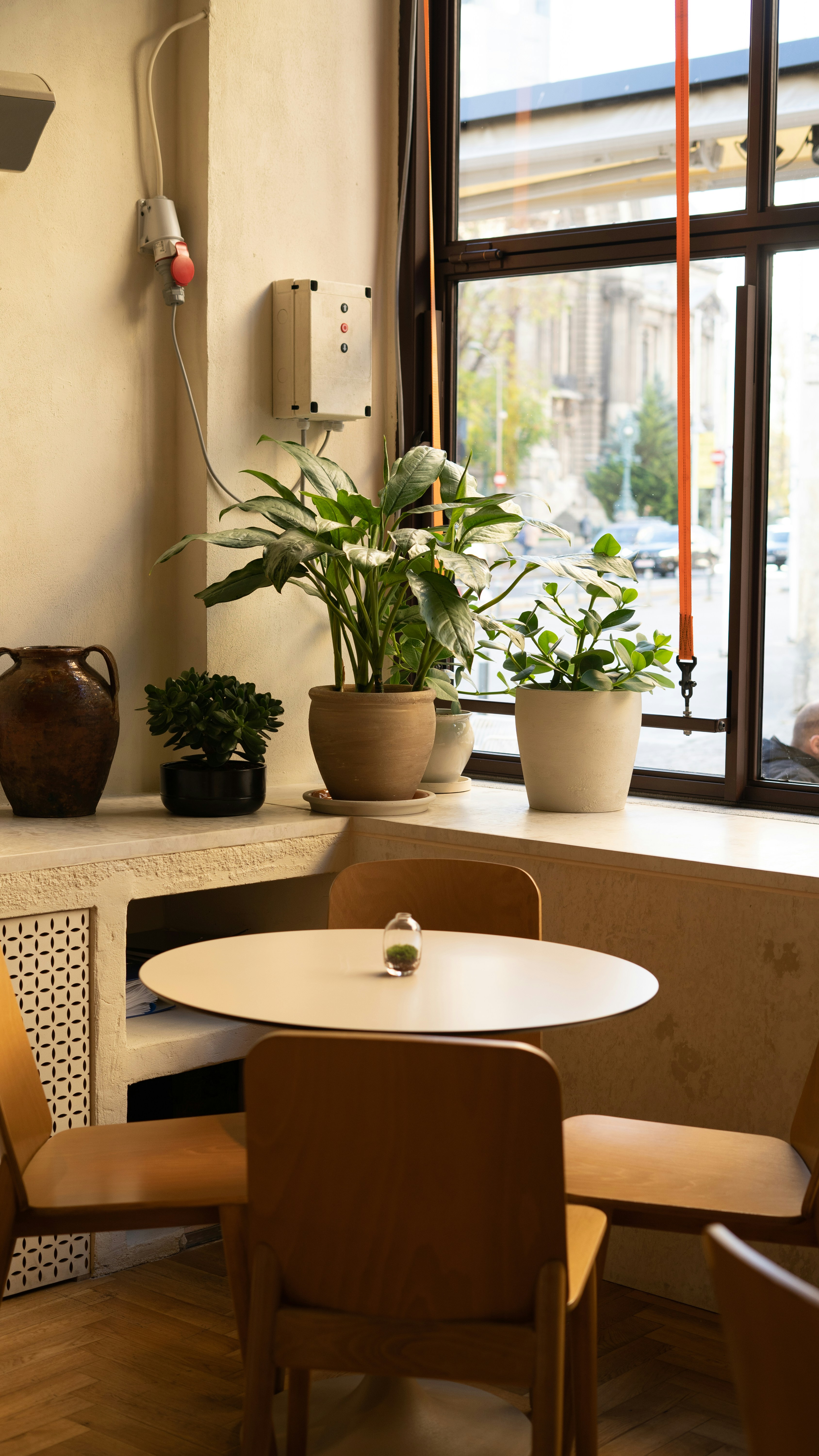 Photo by jelezniac_bianca