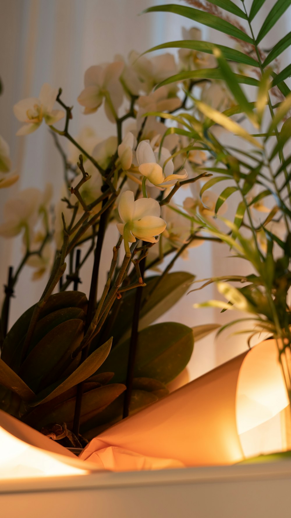 Un jarrón lleno de flores blancas sentado encima de una mesa