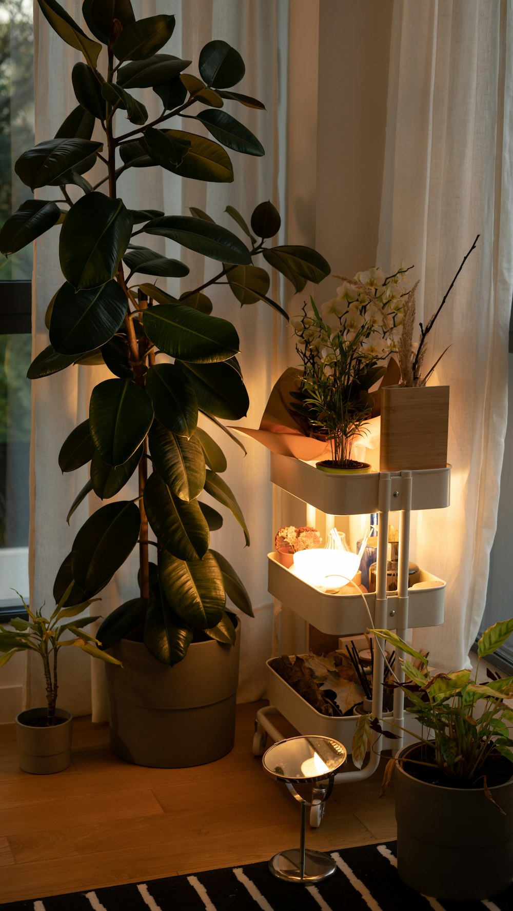 Una planta en una maceta en un estante junto a una ventana