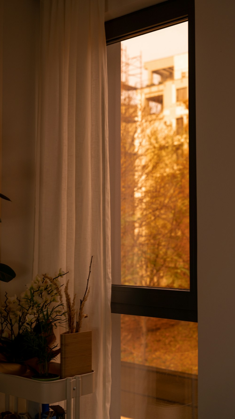 a window with a white curtain and a potted plant