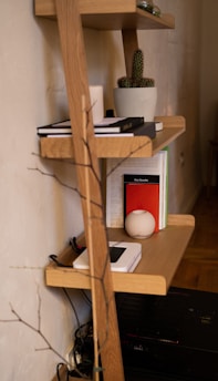 a wooden shelf with books and plants on it