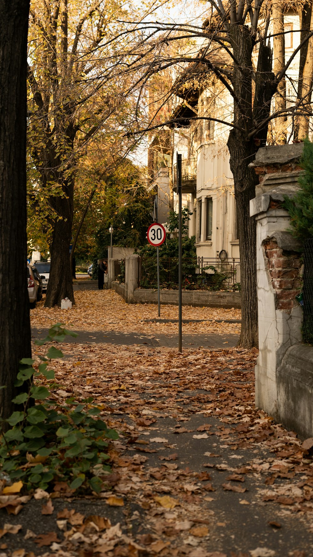 a leaf covered sidewalk next to a building
