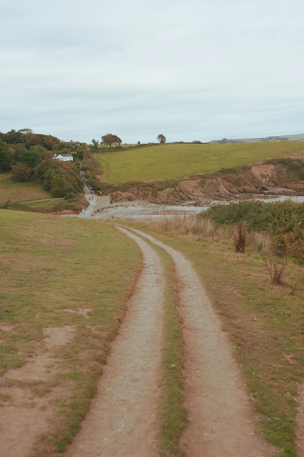 Un camino de tierra que atraviesa un exuberante campo verde