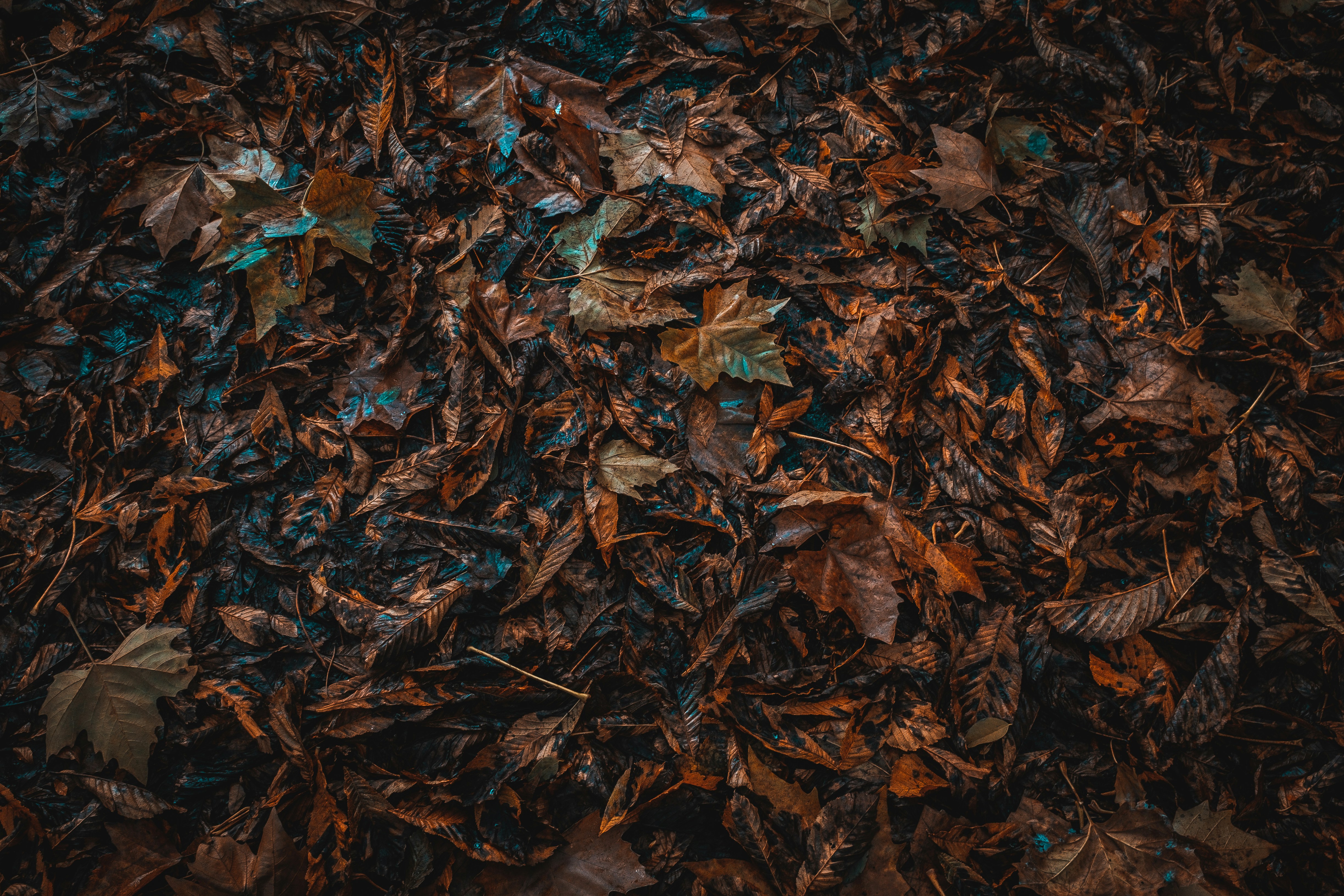 Photo by tassomitsarakis