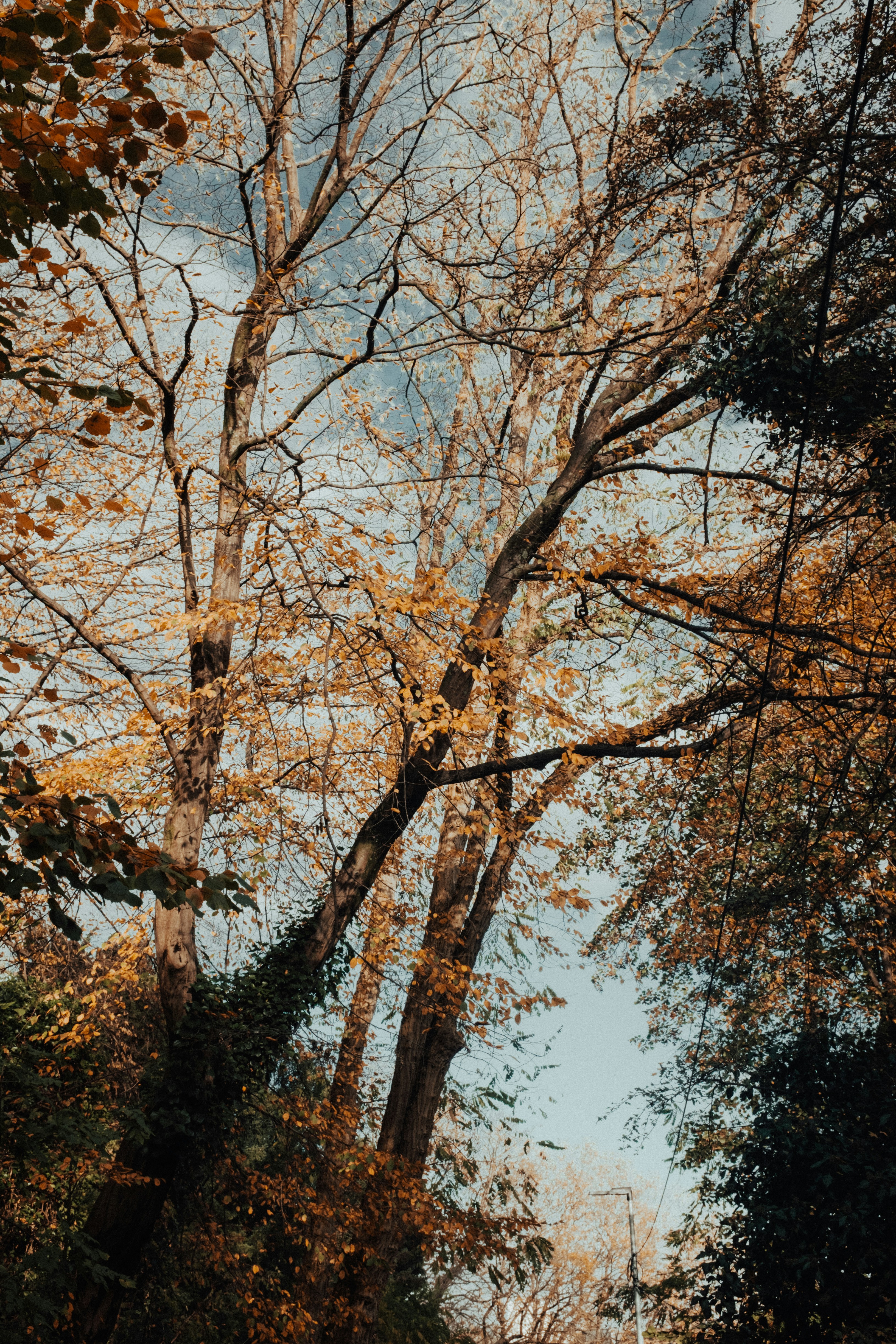 Photo by tassomitsarakis