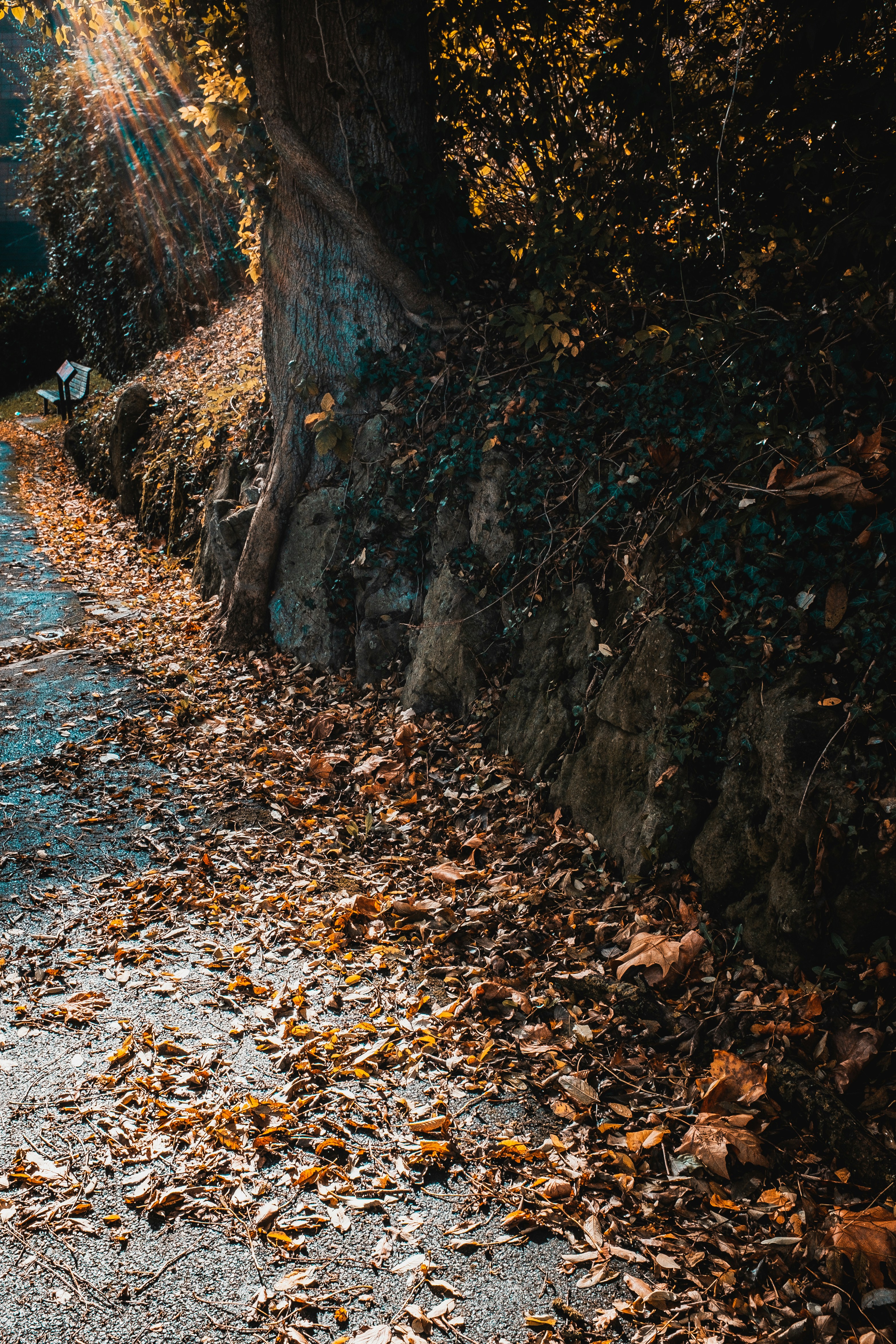 Photo by tassomitsarakis