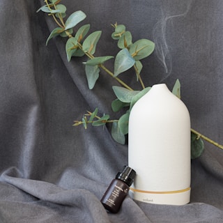 A white, sleek essential oil diffuser emits a gentle wisp of vapor, placed alongside a small dark bottle labeled &lsquo;Eucalyptus&rsquo;. They both rest on a soft gray fabric, accompanied by a branch of eucalyptus leaves that adds a natural touch.