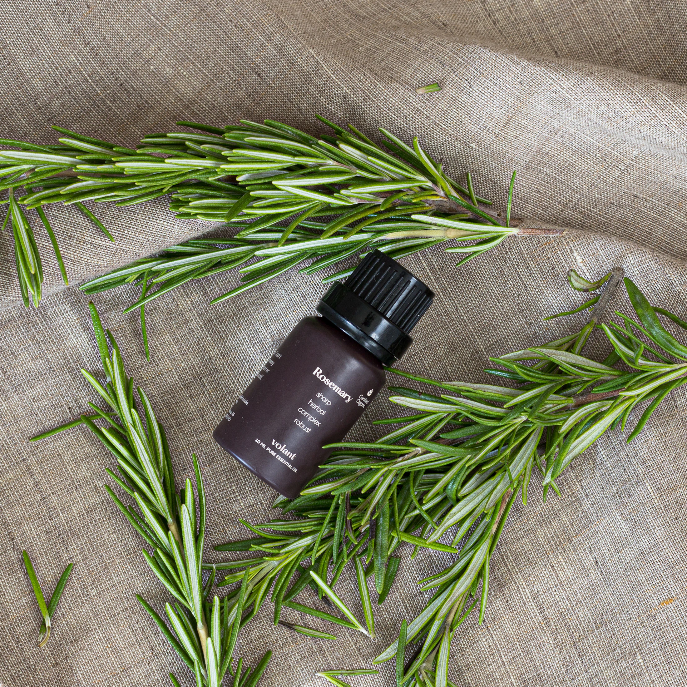Rosemary essential-oil bottle beside fresh rosemary sprigs