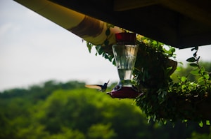 Mangeoire Pour Colibri En Verre Soufflé 'Blue Sunset' - Capacité 510g, Ouverture Large, Anneau Perchoir