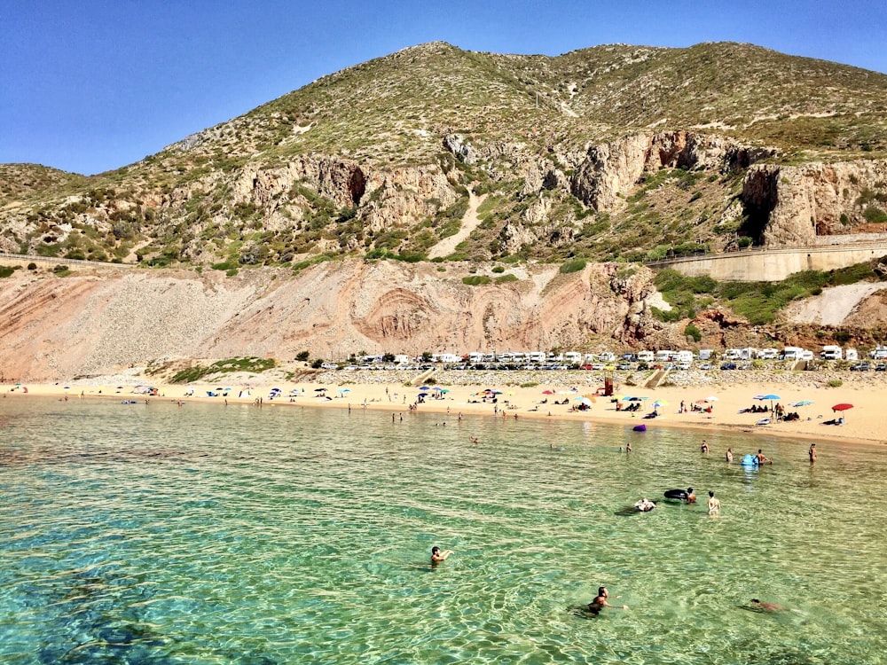 a group of people swimming in a body of water