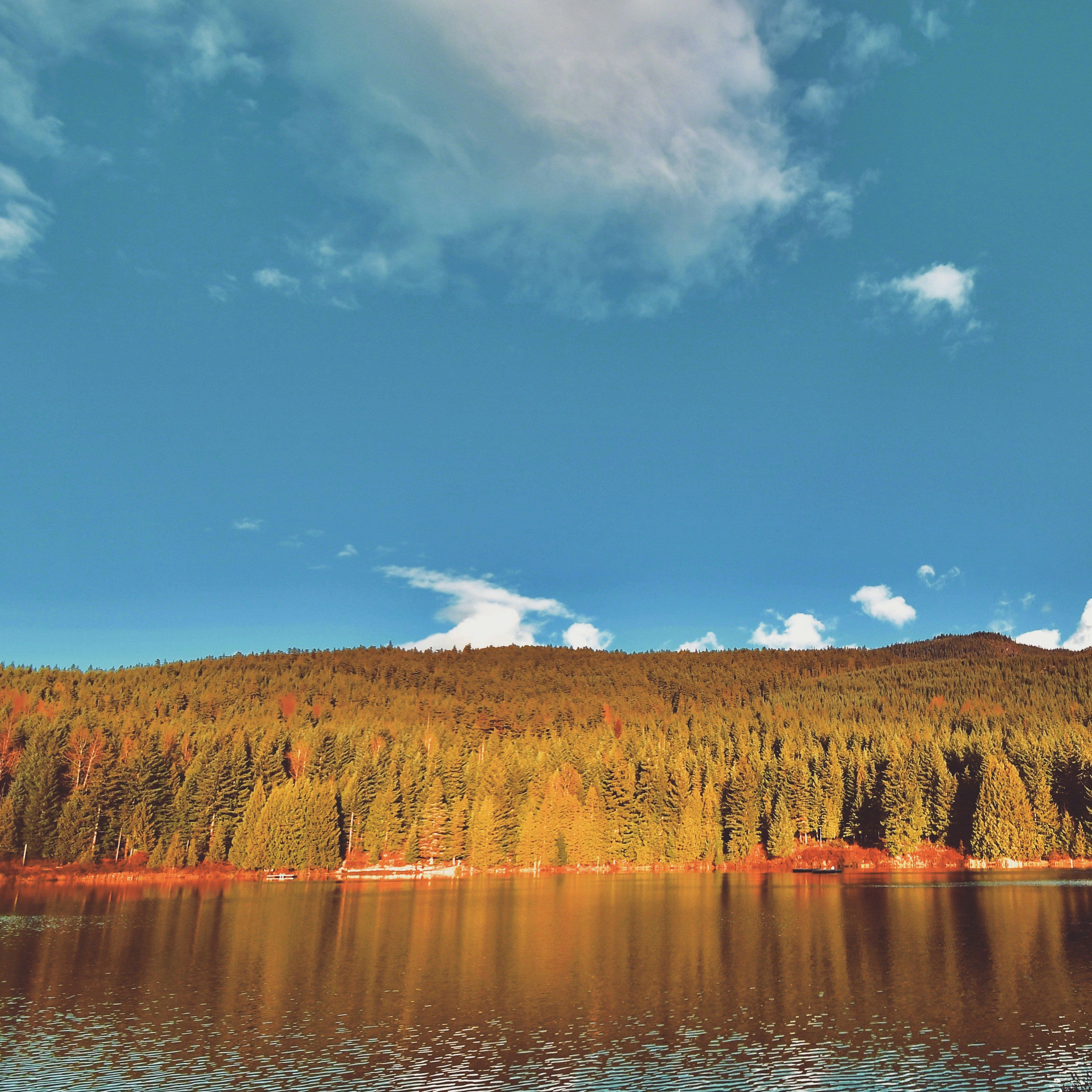 Photo by youripixel_98