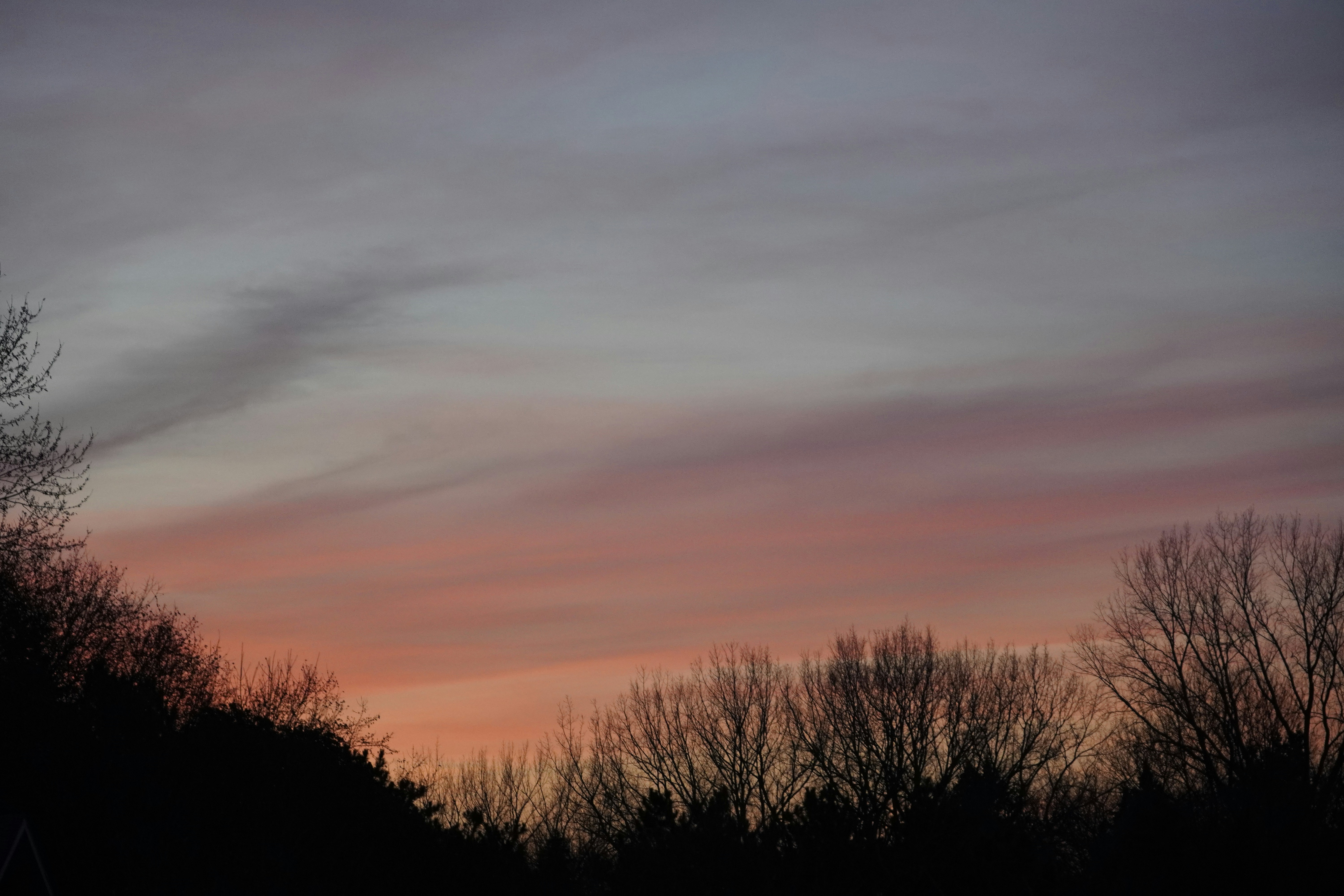 Photo by calecrunchy