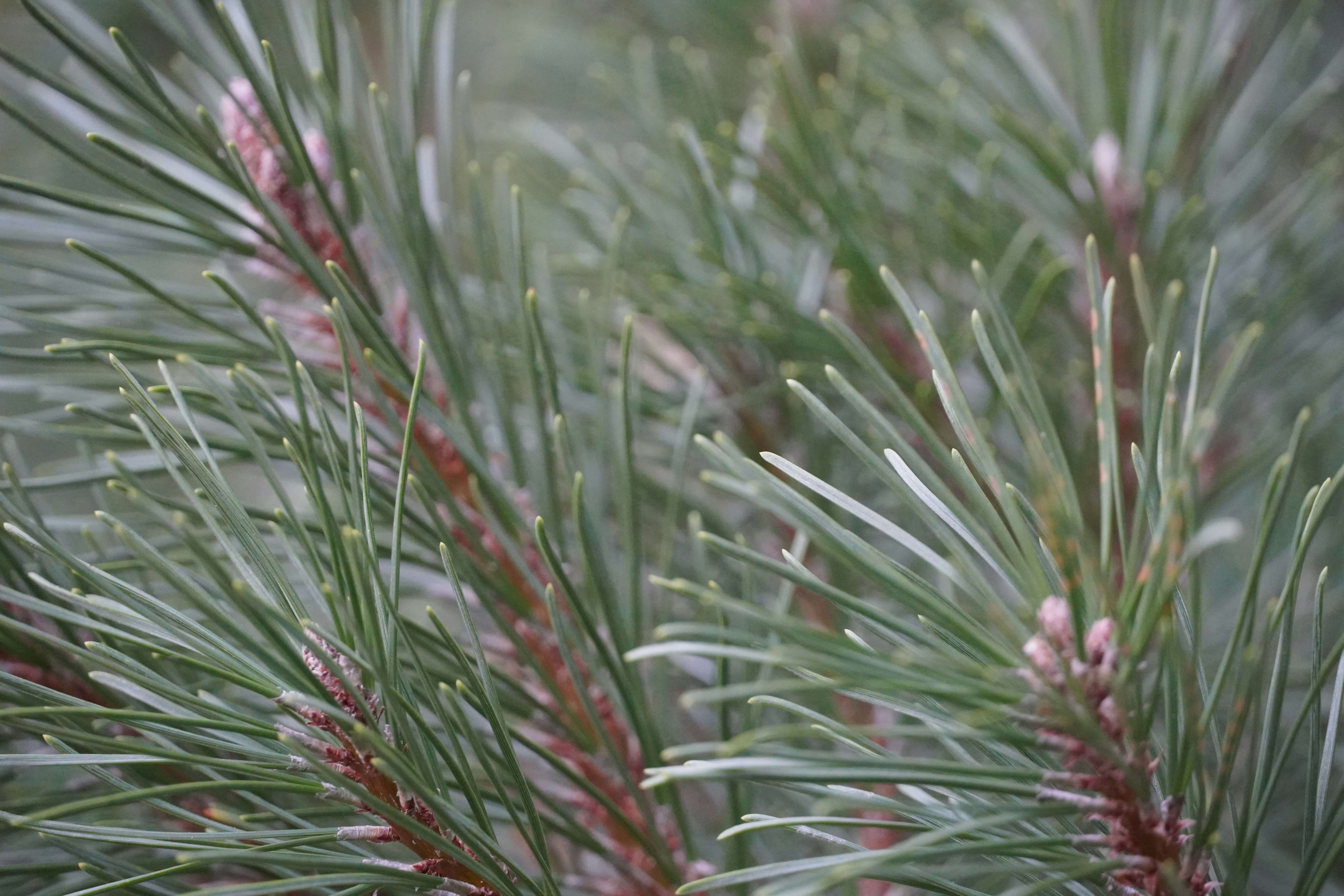 Photo by calecrunchy